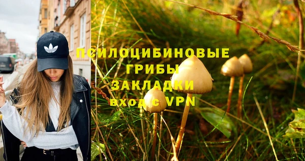 гидропоника Балахна